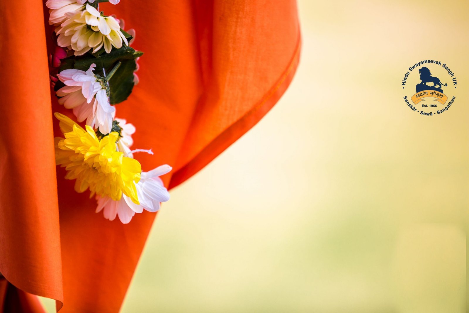 hss-default-scaled (1)