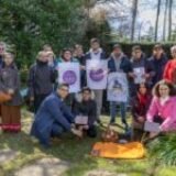 Queens Green Canopy Initiative